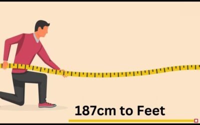 187cm to Feet