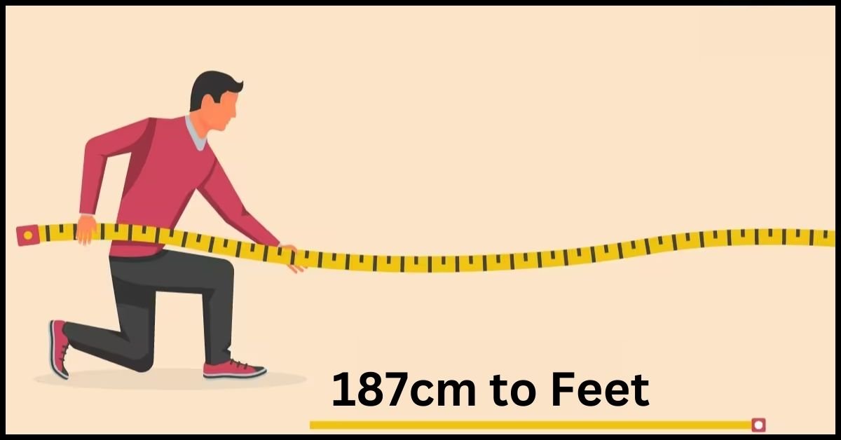 187cm to Feet