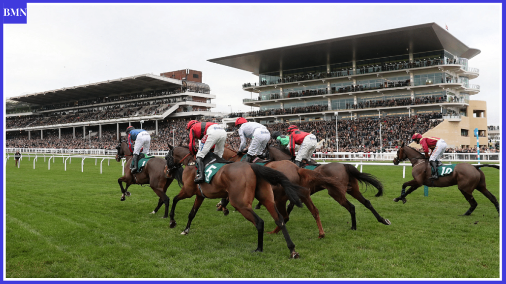 Templegate Tips Today Horse Racing Selections 
